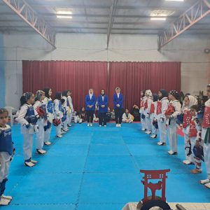 مسابقات لیگ انفرادی کیوروگی هیأت تکواندو شهرستان چناران برگزار شد